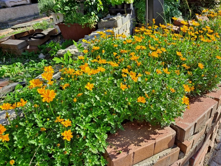 20210905%EF%BC%BF080239.jpg?type=w1