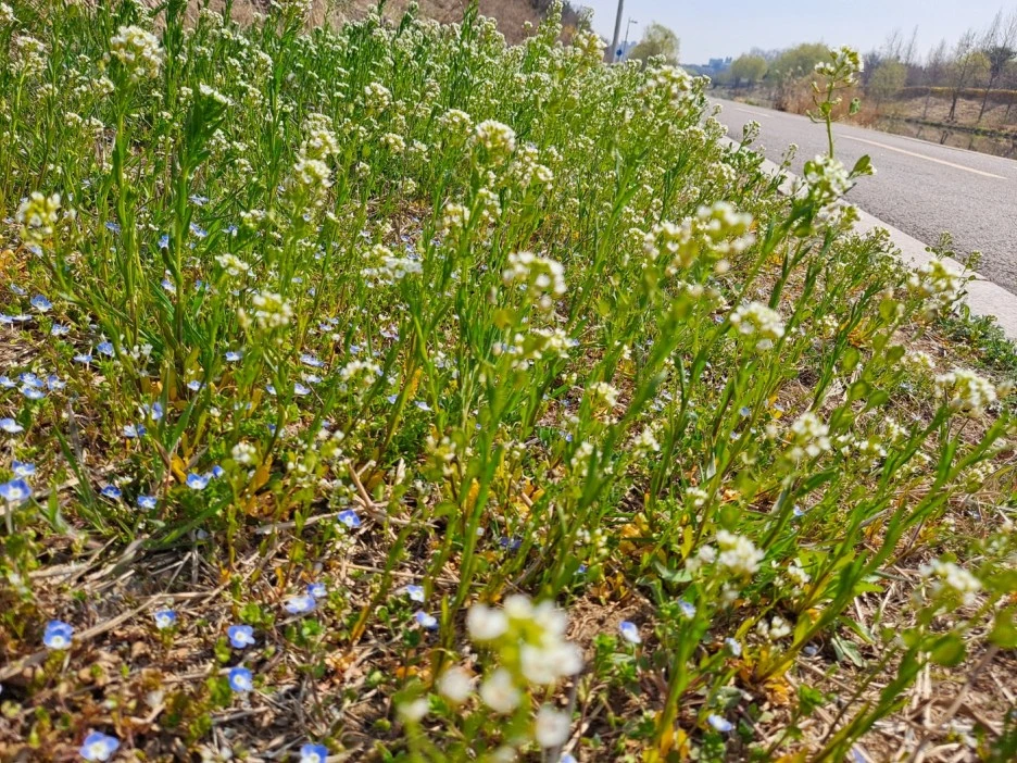 KakaoTalk_20230330_133342155_02.jpg?type=w1