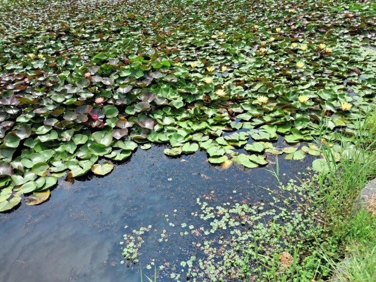 KakaoTalk_20230815_230259059_13.jpg?type=w773