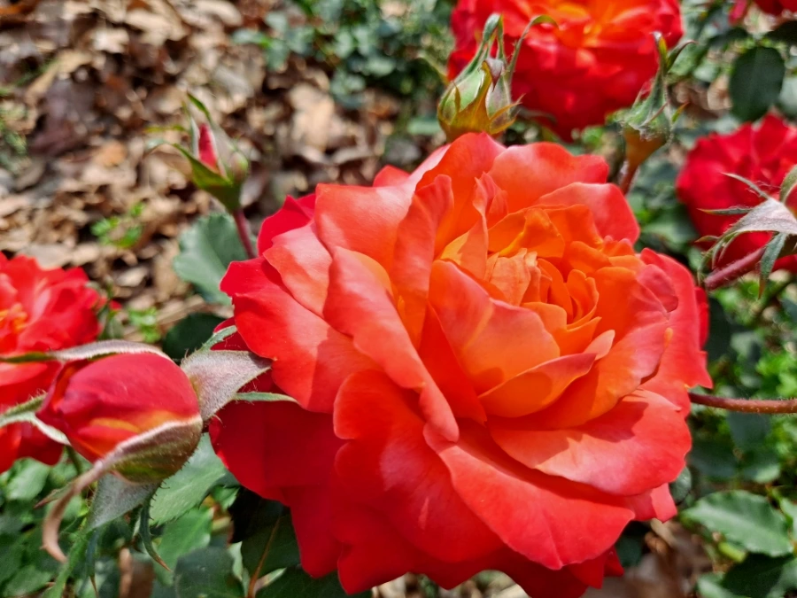 20220523%EF%BC%BF101226.jpg?type=w1