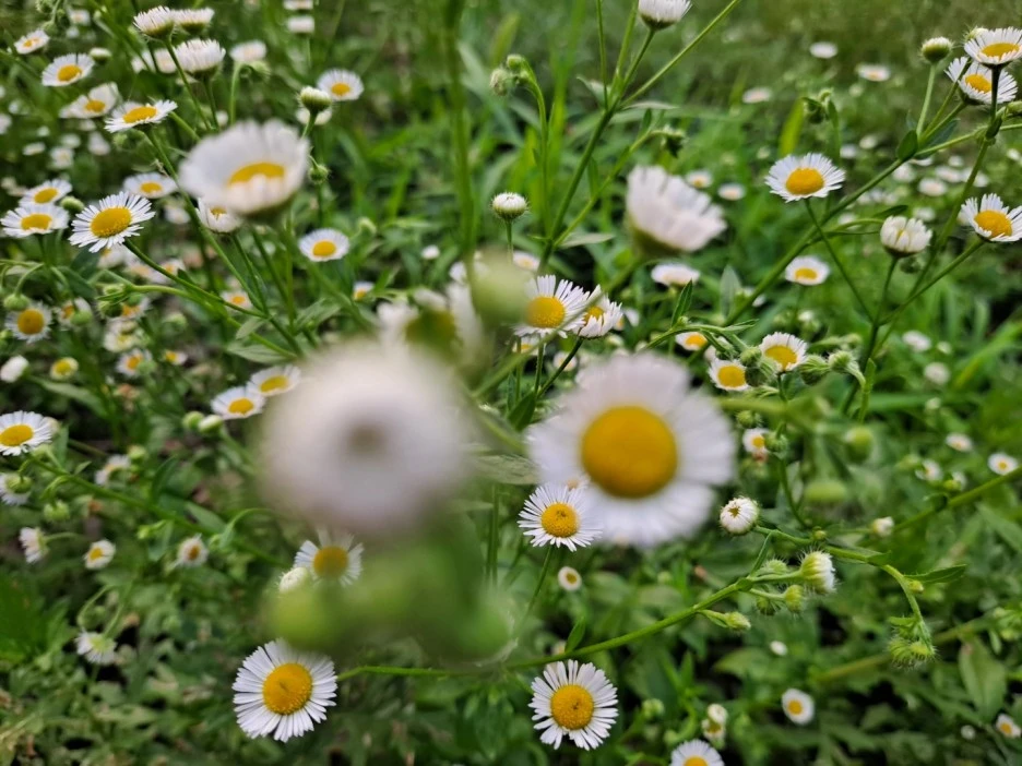 KakaoTalk_20220727_212741818.jpg?type=w1