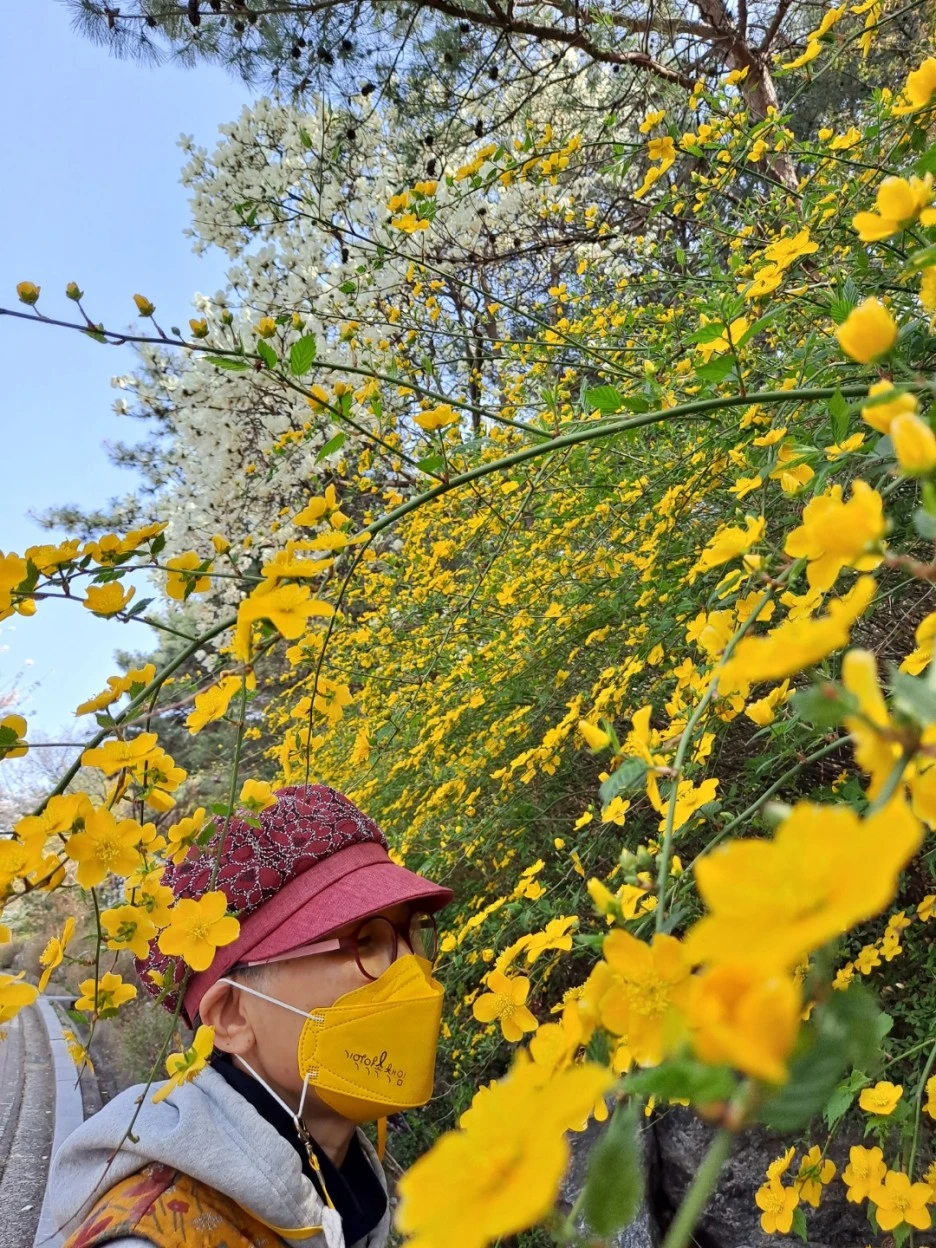 KakaoTalk_20220413_105220246.jpg?type=w1