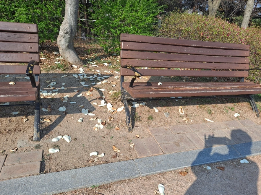 20230402%EF%BC%BF090221.jpg?type=w1