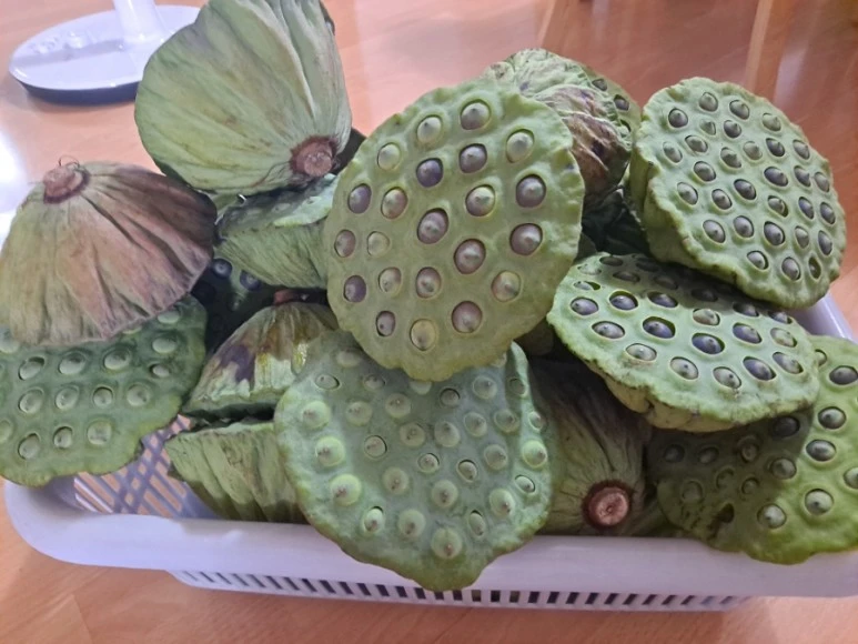 20230815%EF%BC%BF155020.jpg?type=w773