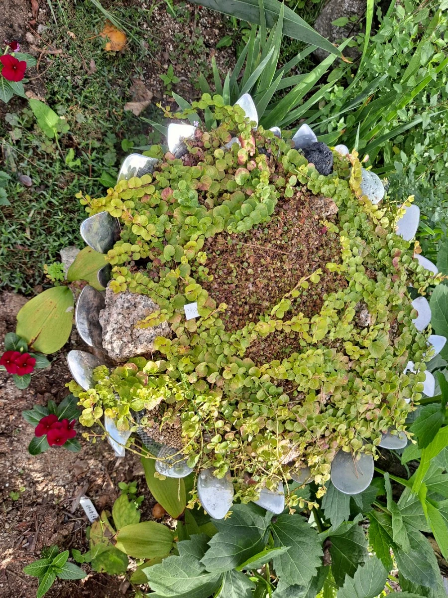 20210905%EF%BC%BF083200.jpg?type=w1