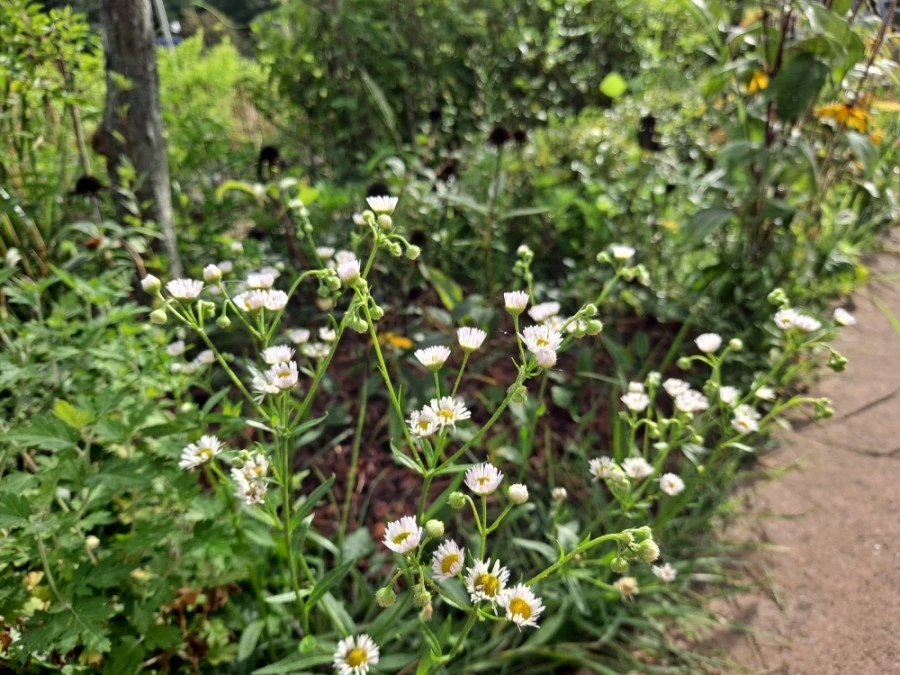 20210905%EF%BC%BF084221.jpg?type=w1