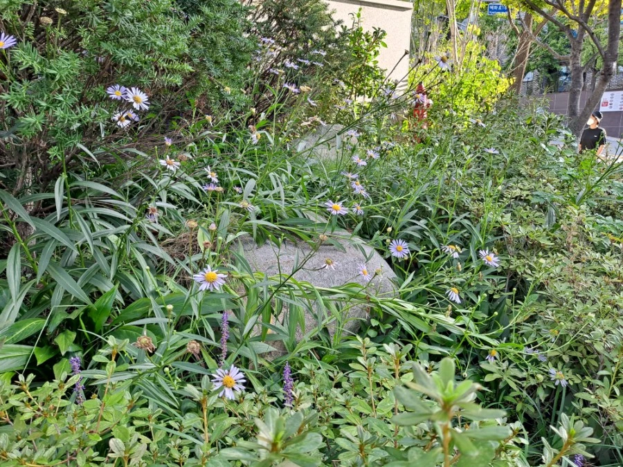 20210905%EF%BC%BF074442.jpg?type=w1