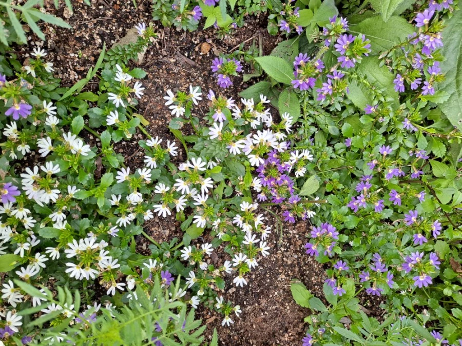 20210905%EF%BC%BF083858.jpg?type=w1