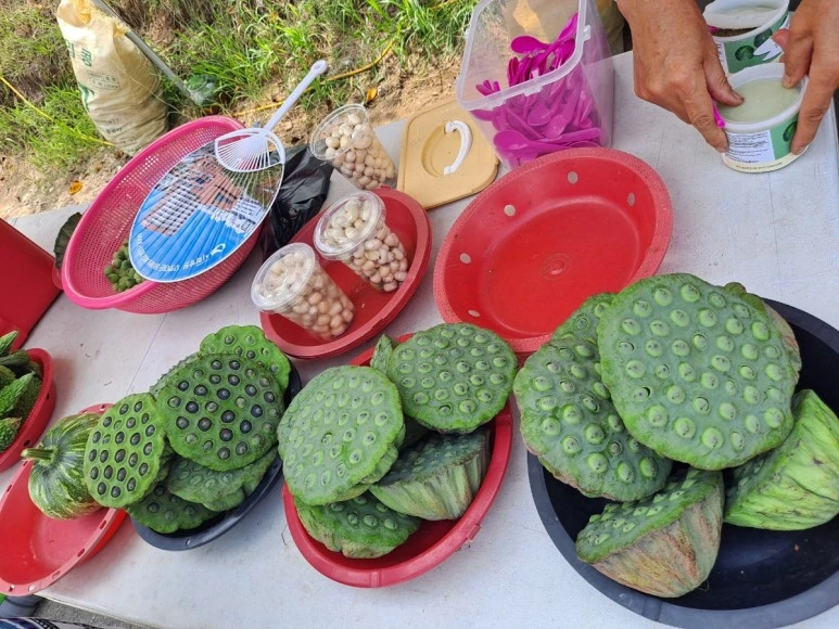 SE-591337f9-3bf2-11ee-8dcb-a721707b03cd.jpg?type=w773