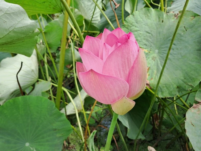 KakaoTalk_20230815_230259059_01.jpg?type=w773