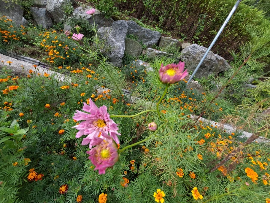 20210905%EF%BC%BF084100.jpg?type=w1