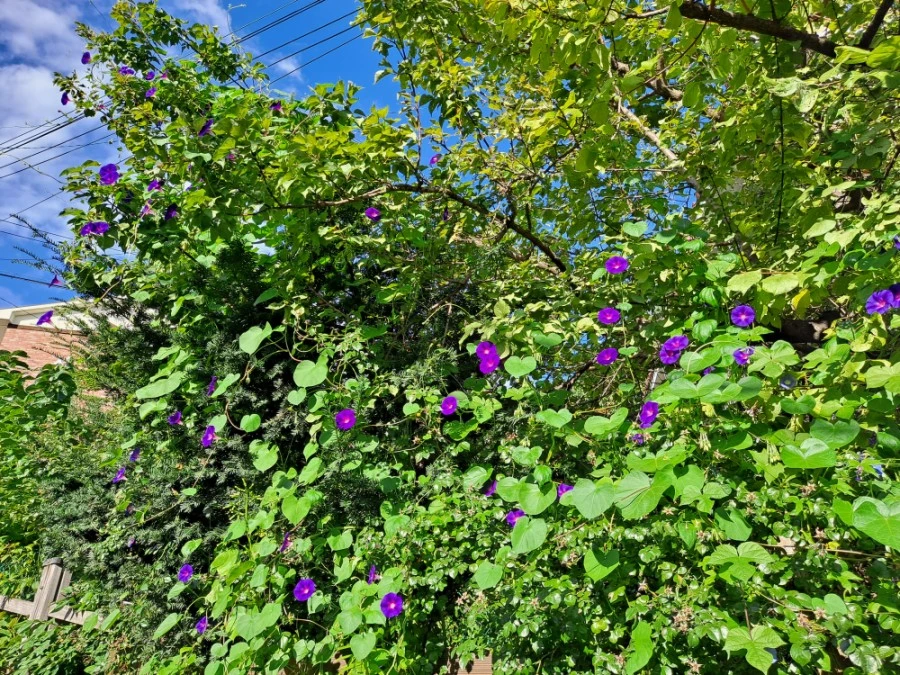 20210905%EF%BC%BF081236.jpg?type=w1