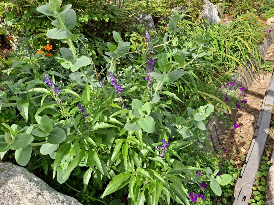 20210905%EF%BC%BF084142.jpg?type=w1