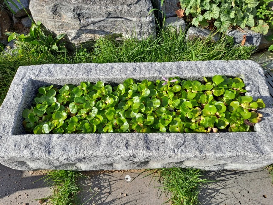 20210905%EF%BC%BF082614.jpg?type=w1