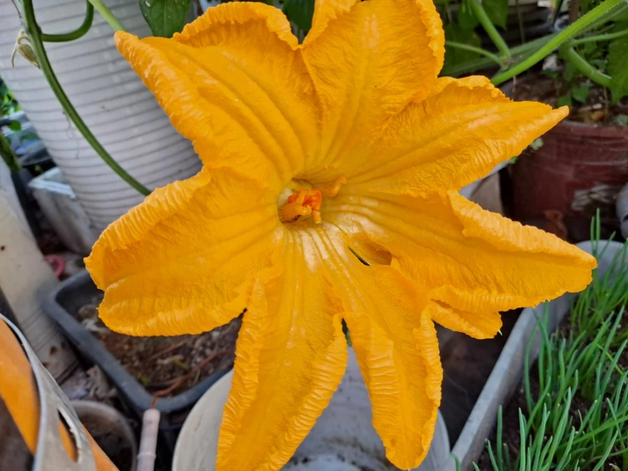 20210905%EF%BC%BF074241.jpg?type=w1