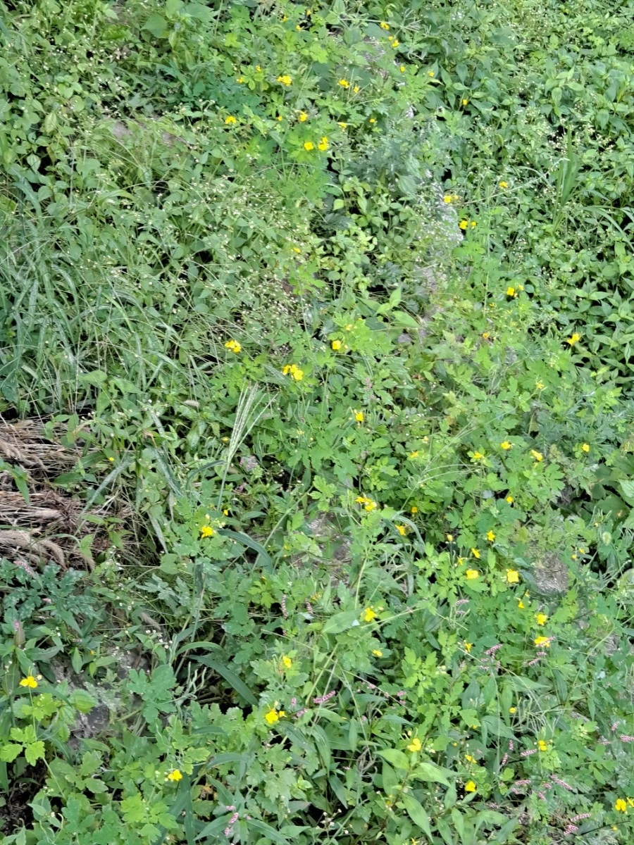 20210905%EF%BC%BF082937.jpg?type=w1