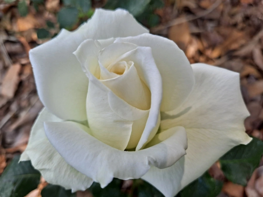 20220523%EF%BC%BF101251.jpg?type=w1