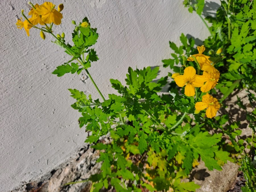 20210905%EF%BC%BF081434.jpg?type=w1