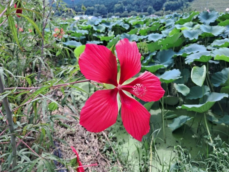 KakaoTalk_20230815_230259059_09.jpg?type=w773