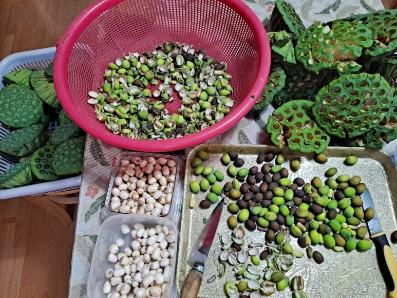 SE-5908d7b6-3bf2-11ee-8dcb-517753e53f29.jpg?type=w773