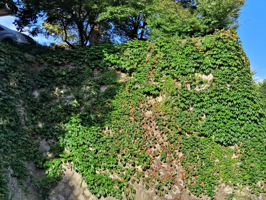 20210905%EF%BC%BF075926.jpg?type=w1