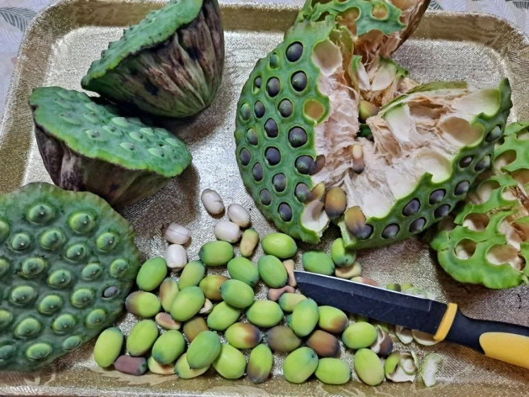 20230815%EF%BC%BF175113.jpg?type=w773