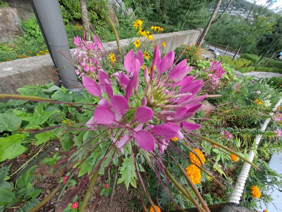 20210905%EF%BC%BF084028.jpg?type=w1