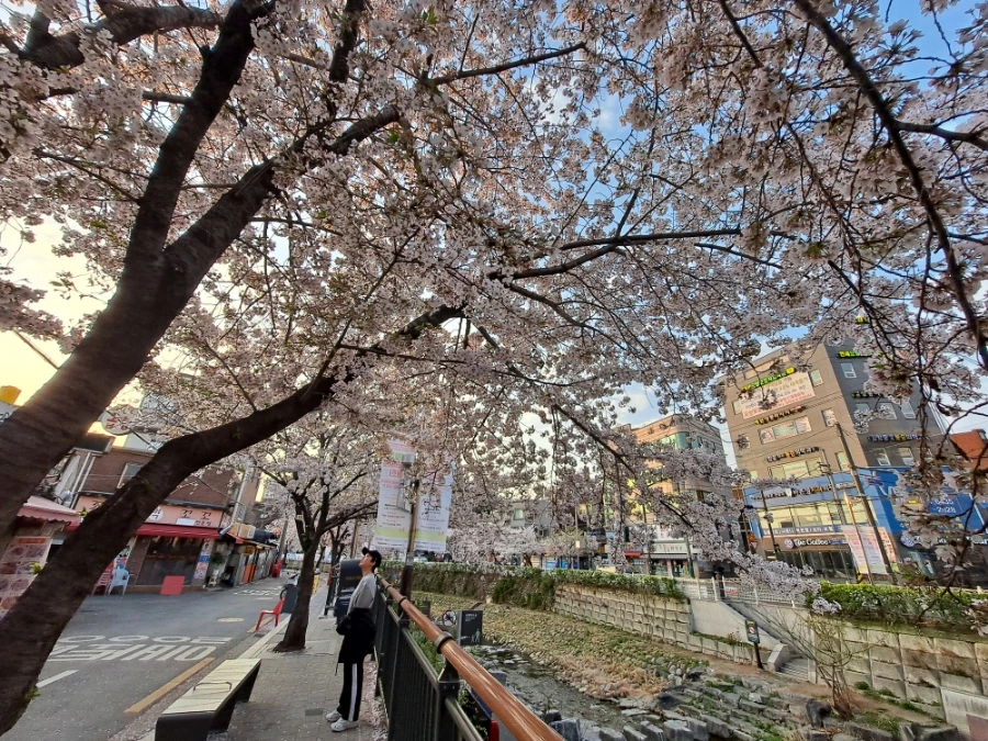 20230402%EF%BC%BF070139.jpg?type=w1