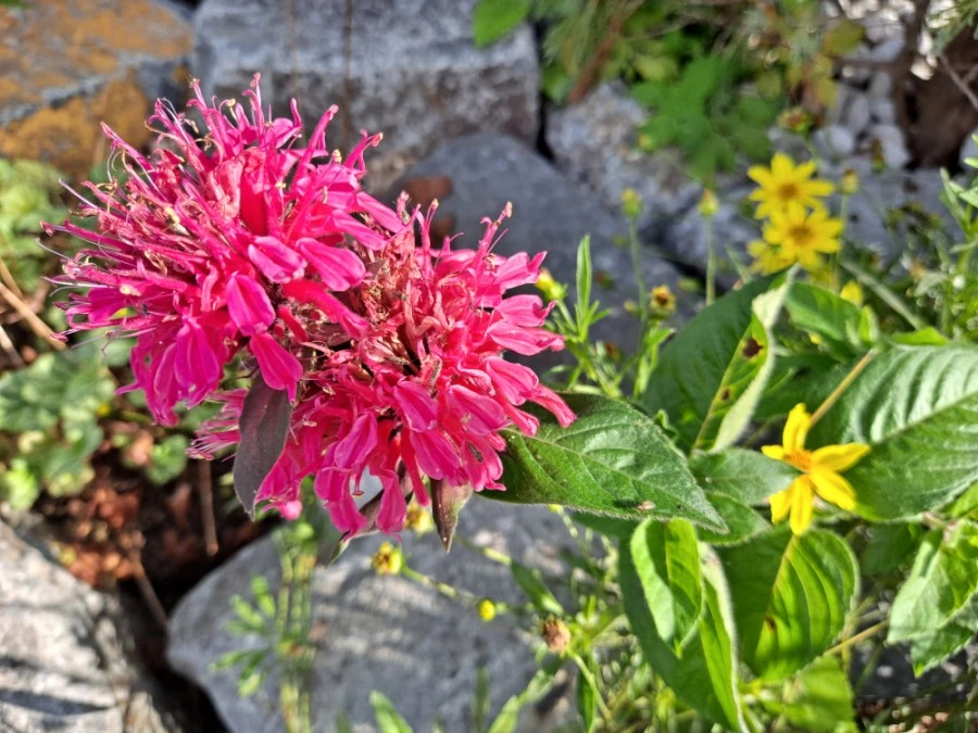 20210905%EF%BC%BF082638.jpg?type=w1