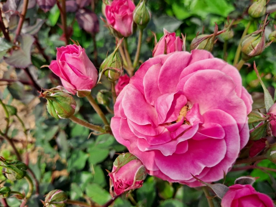 20220523%EF%BC%BF103739.jpg?type=w1