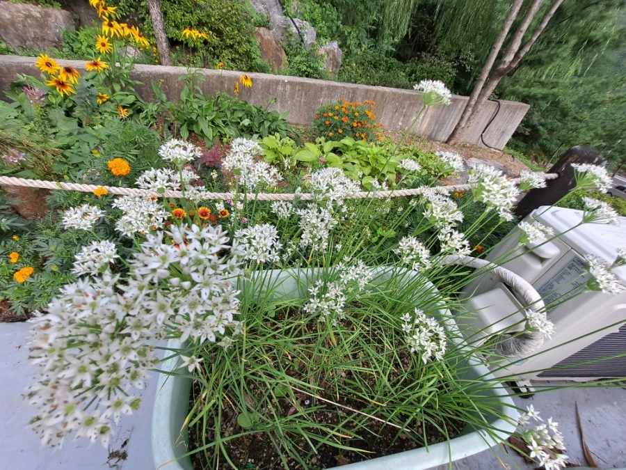 20210905%EF%BC%BF084002.jpg?type=w1