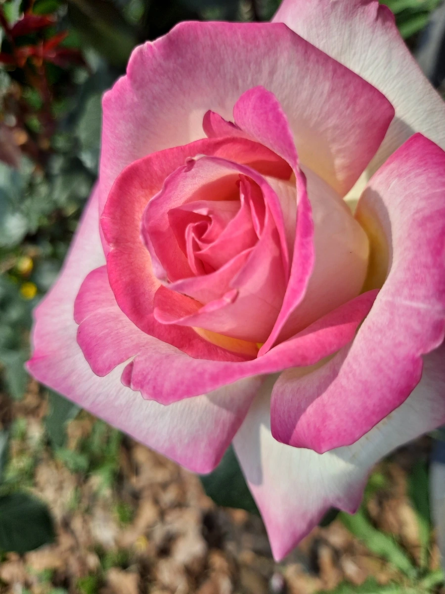 20220523%EF%BC%BF103216.jpg?type=w1