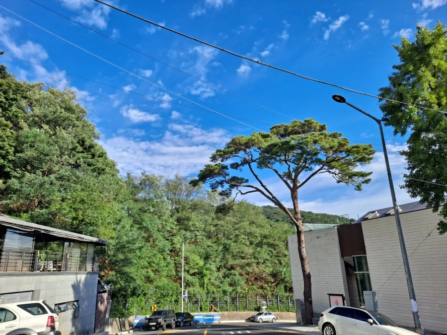 20210905%EF%BC%BF081720.jpg?type=w1