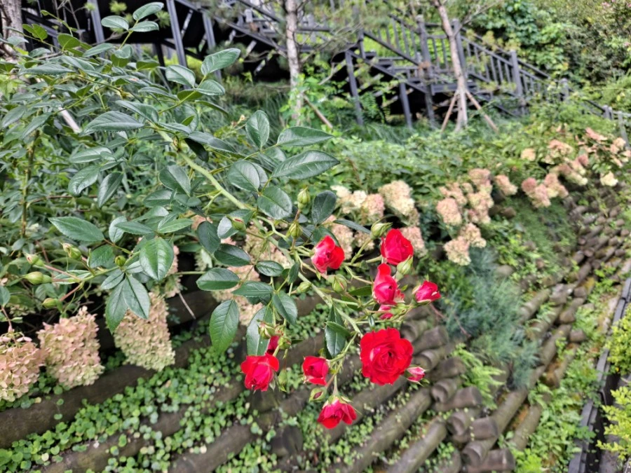 20210905%EF%BC%BF083458.jpg?type=w1