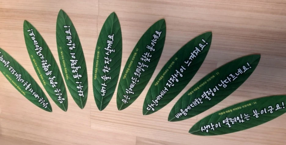 %ED%99%94%EC%88%99100%EC%9D%BC%EC%B9%B4%EB%93%9C.jpg?type=w1