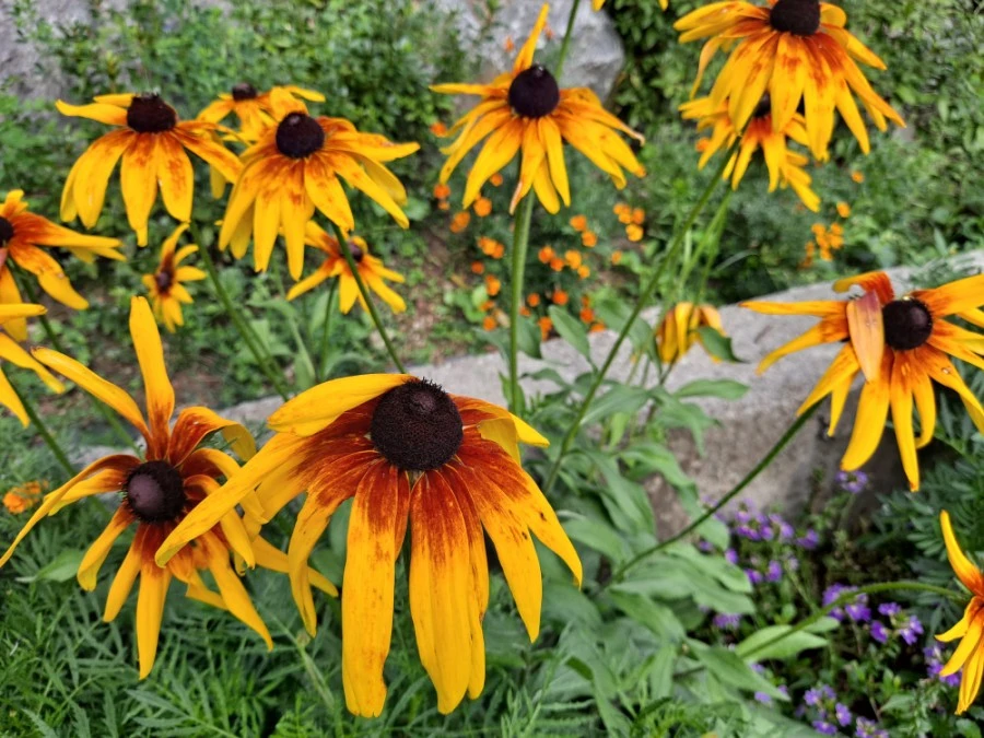 20210905%EF%BC%BF083908.jpg?type=w1