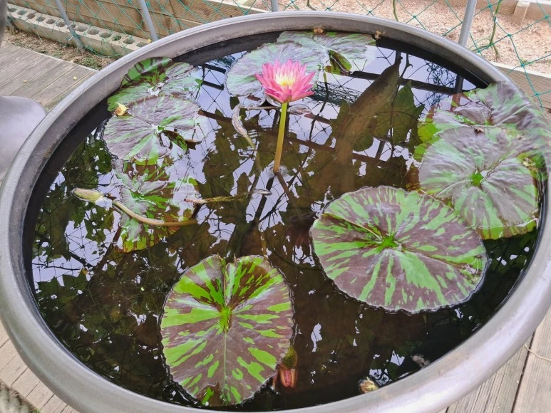 KakaoTalk_20230815_230259059_05.jpg?type=w773