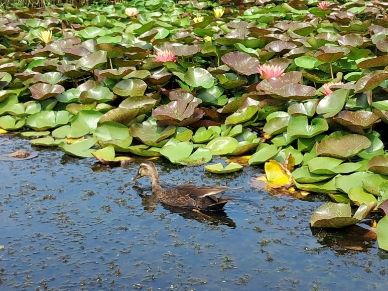 KakaoTalk_20230815_230259059_17.jpg?type=w773