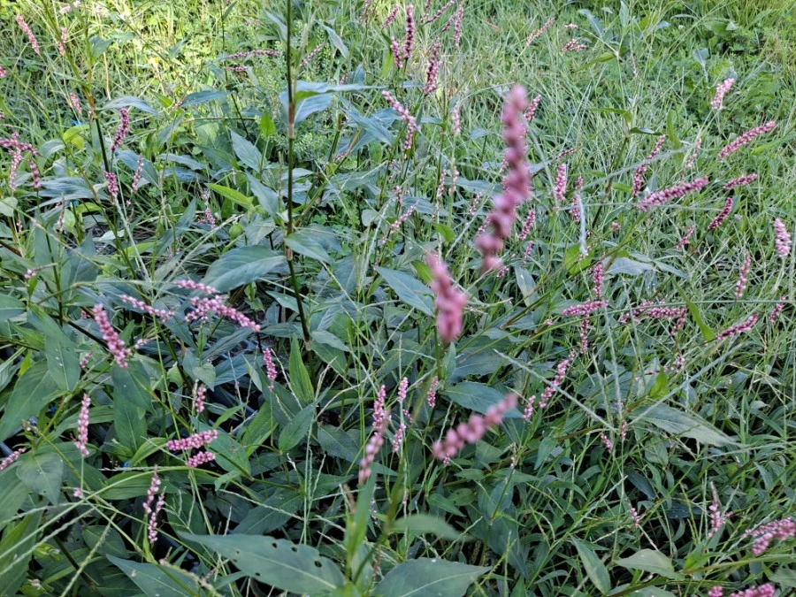 20210905%EF%BC%BF080916.jpg?type=w1