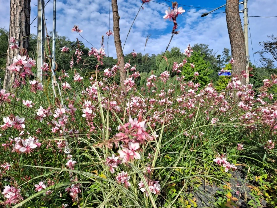 20210905%EF%BC%BF082223.jpg?type=w1