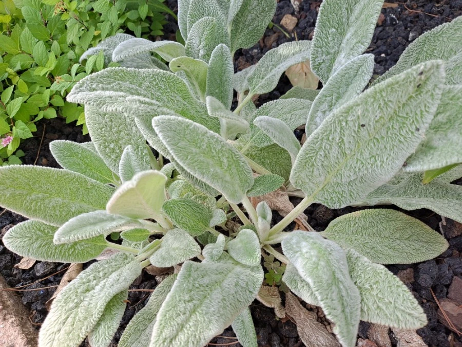 20210905%EF%BC%BF083352.jpg?type=w1