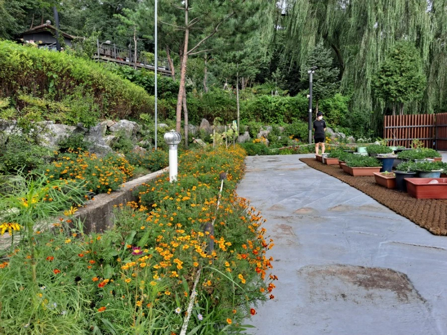 20210905%EF%BC%BF083810.jpg?type=w1