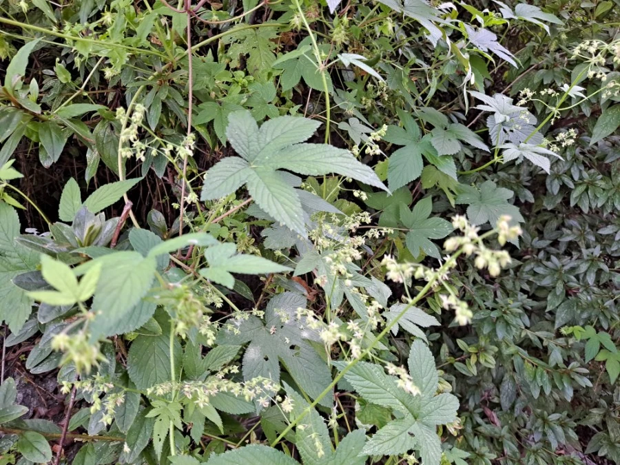 20210905%EF%BC%BF083019.jpg?type=w1