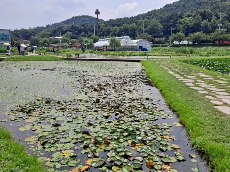 20230815%EF%BC%BF130955.jpg?type=w773