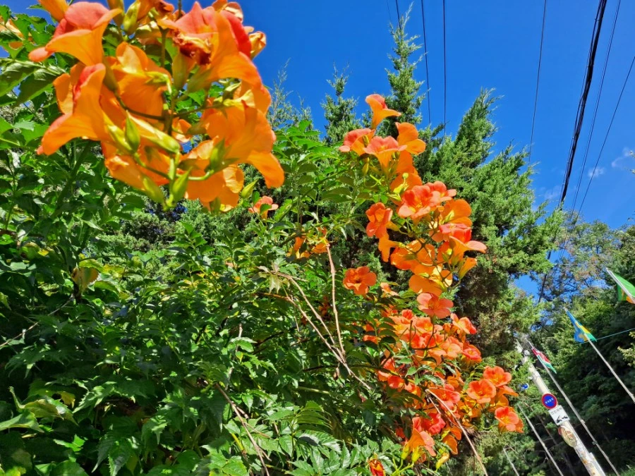 20210905%EF%BC%BF081110.jpg?type=w1