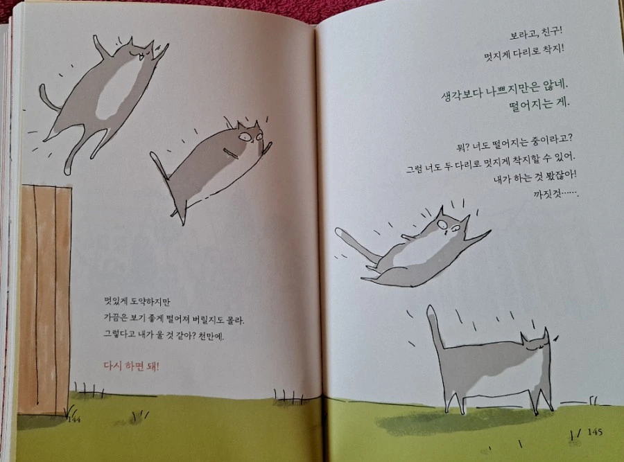 SE-46605bd1-6d51-4c96-a9ce-e352237514c8.jpg?type=w1