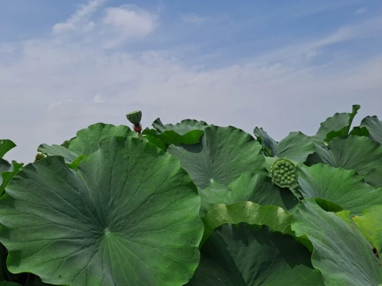 20230815%EF%BC%BF130942.jpg?type=w773