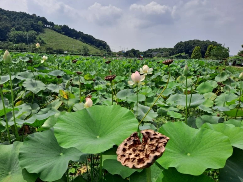 20230815%EF%BC%BF130643.jpg?type=w773