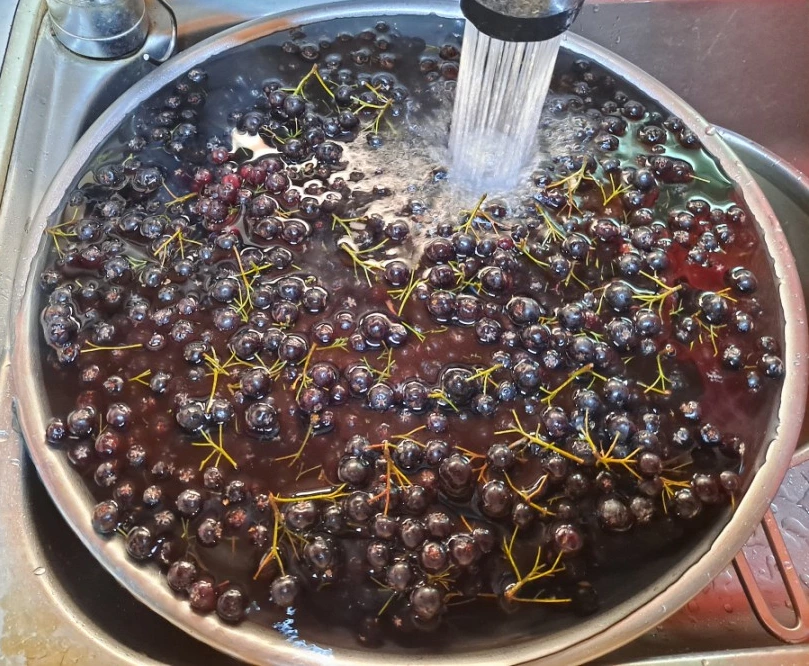 SE-16ccfb7a-0406-11ec-b4f8-1b9aebf81e14.jpg?type=w1