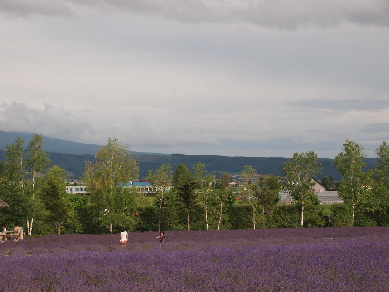 (2014년 7월) 후라노.JPG